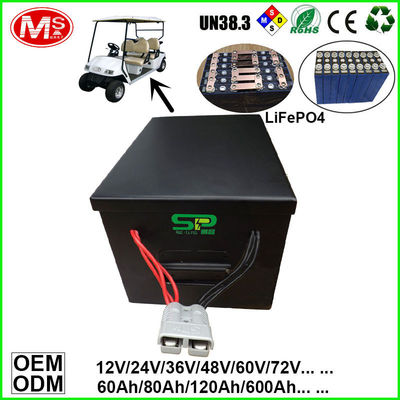 중국 OEM 디자인 100개 Amp 태양 에너지 저장 체계를 위한 깊은 주기 건전지 공장